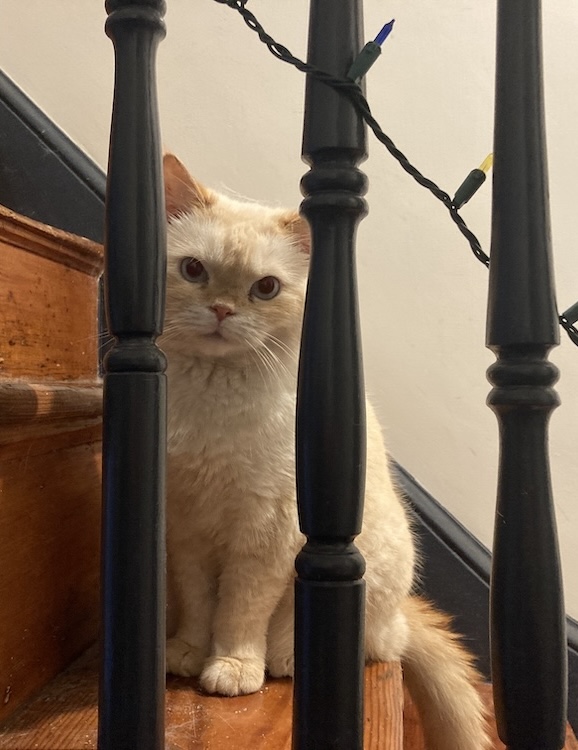 ArthurOnTheStairs