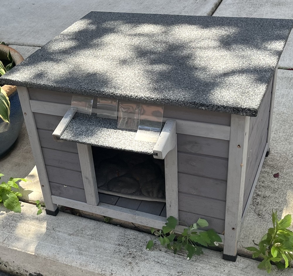 CatHouse