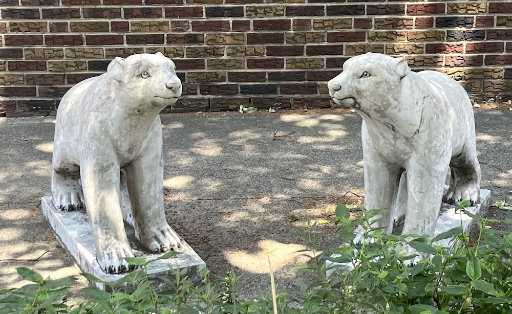 StonePolarbears