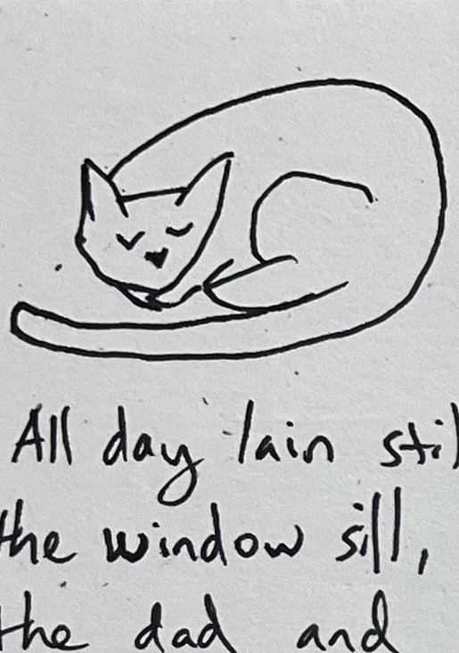 CatLetter1