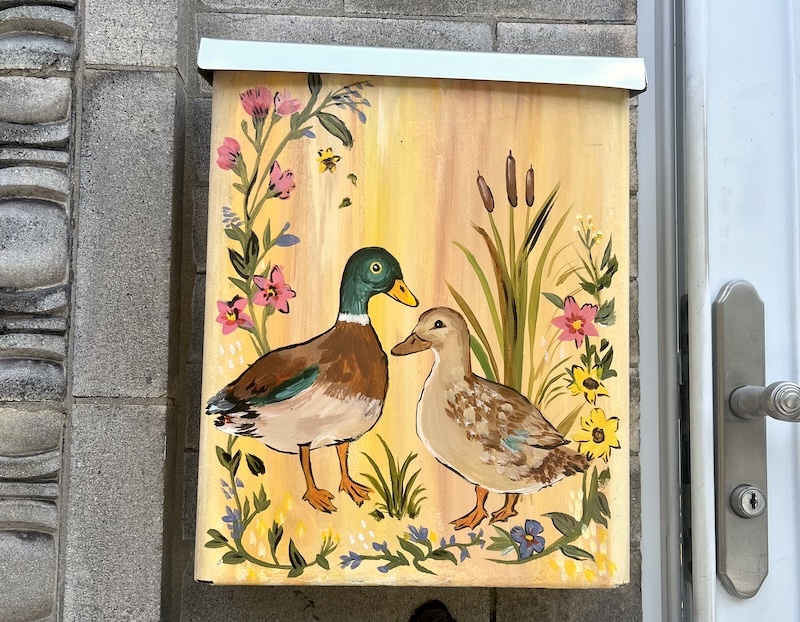 MailboxDucks