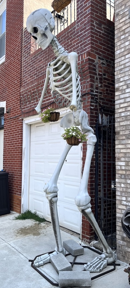 Skelebones1