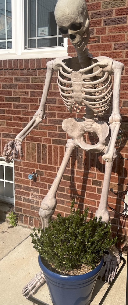 Skelebones2