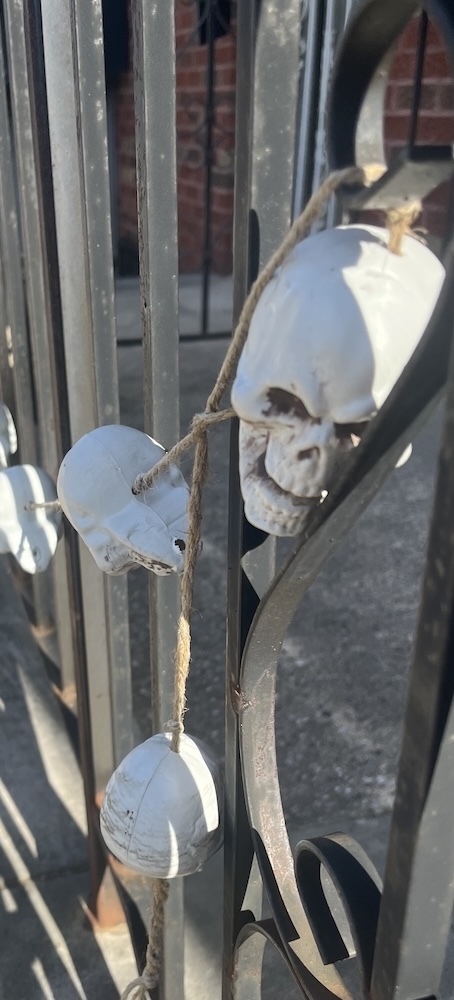 Skelebones5
